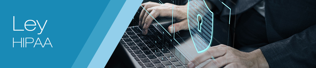 Foto donde una persona está escribiendo en su computadora laptop, y en la pantalla de la misma se muestra un escudo con una cerradura, aludiendo a la seguridad cibernética.
