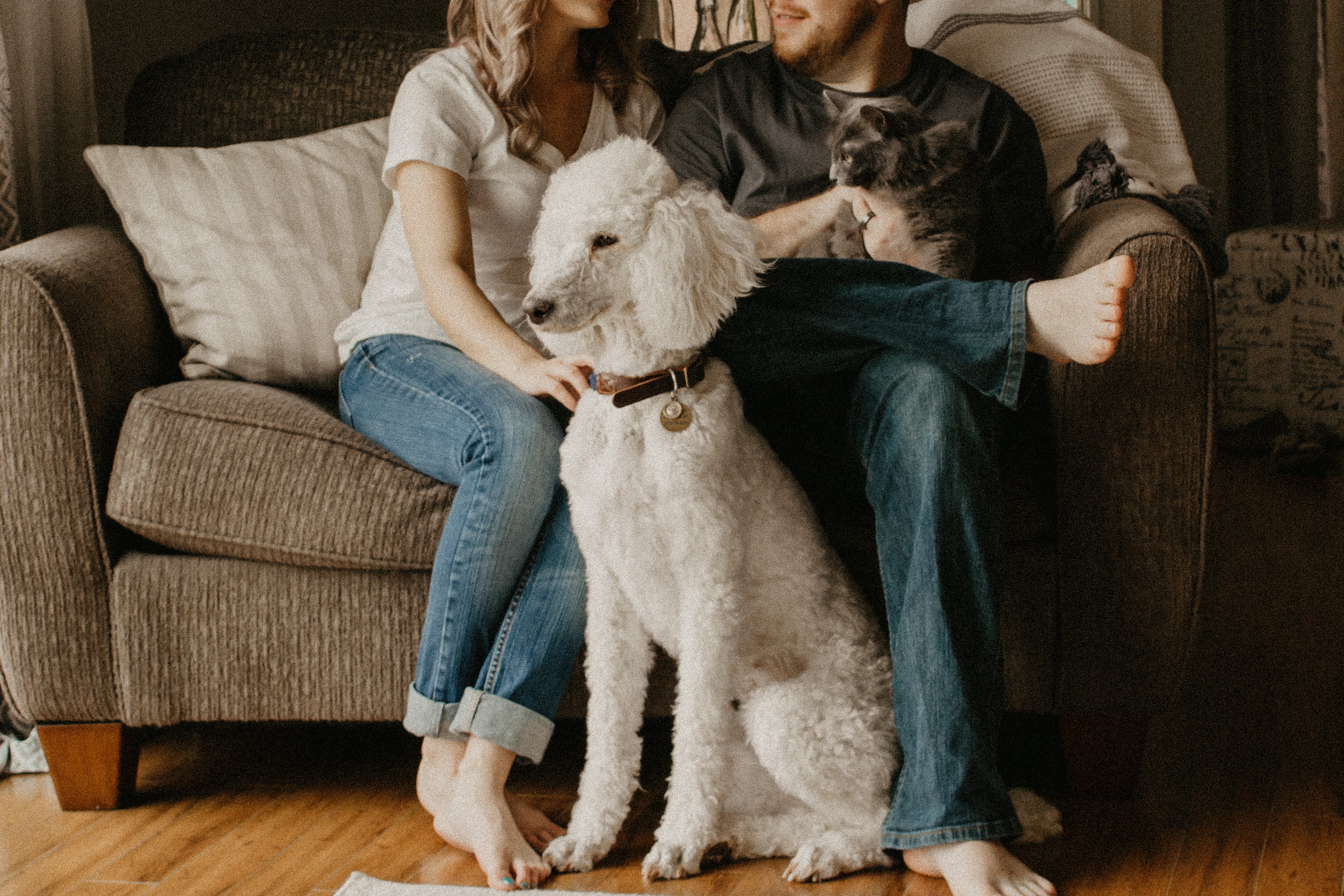 Fotografía de una familia sentadas en el sofá acompañados de sus mascotas.