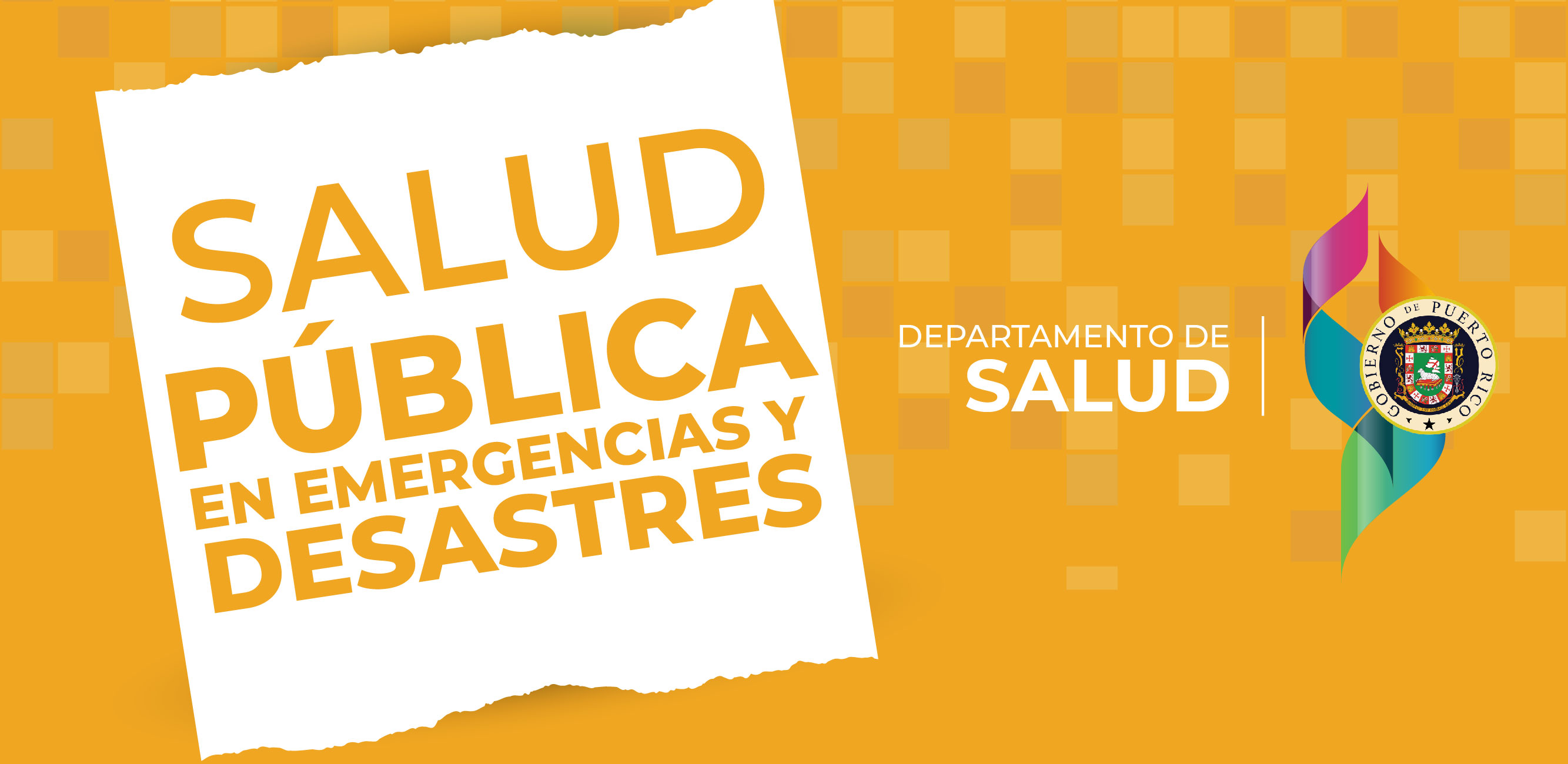 Salud Pública en Emergencias y Desastres