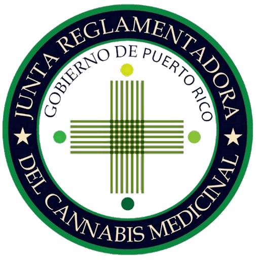Imagen de doctor sosteniendo hoja de cannabis medicinal.