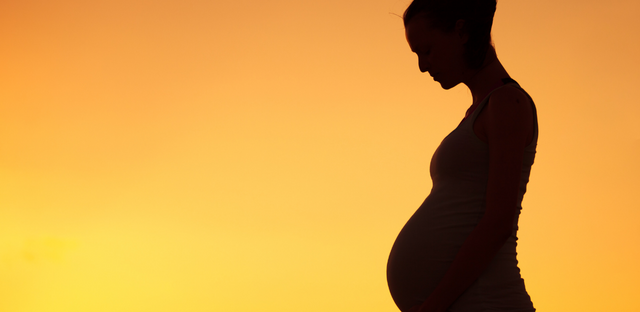 Imagen de la silueta de una mujer embarazada.